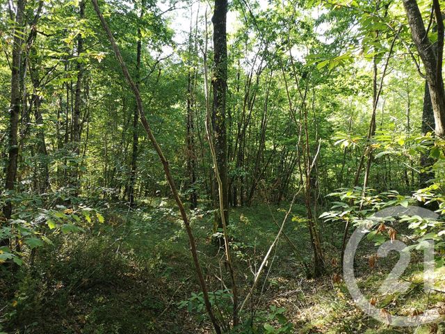 Afficher la photo en grand Terrain à vendre - 4090 m2 - LISLE SUR TARN - 81 - MIDI-PYRENEES