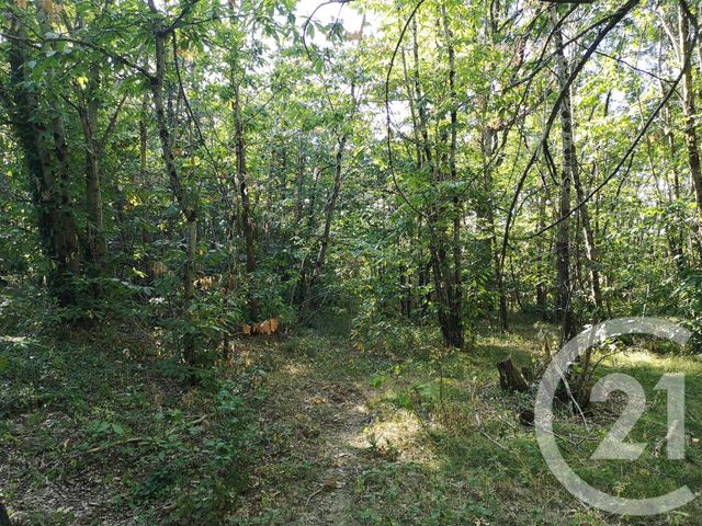 Afficher la photo en grand Terrain à vendre - 4090 m2 - LISLE SUR TARN - 81 - MIDI-PYRENEES