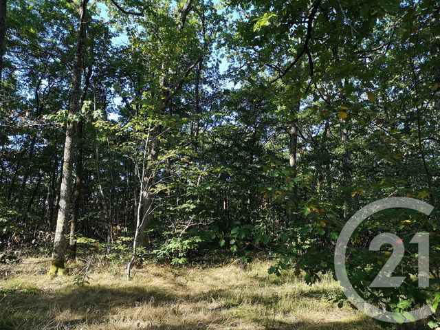 Afficher la photo en grand Terrain à vendre - 4090 m2 - LISLE SUR TARN - 81 - MIDI-PYRENEES
