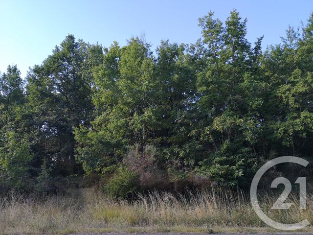 Afficher la photo en grand Terrain à vendre - 4090 m2 - LISLE SUR TARN - 81 - MIDI-PYRENEES