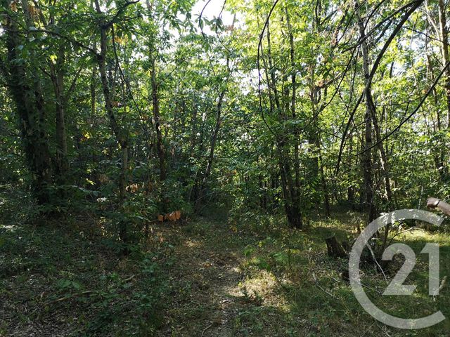 Afficher la photo en grand Terrain à vendre - 4090 m2 - LISLE SUR TARN - 81 - MIDI-PYRENEES