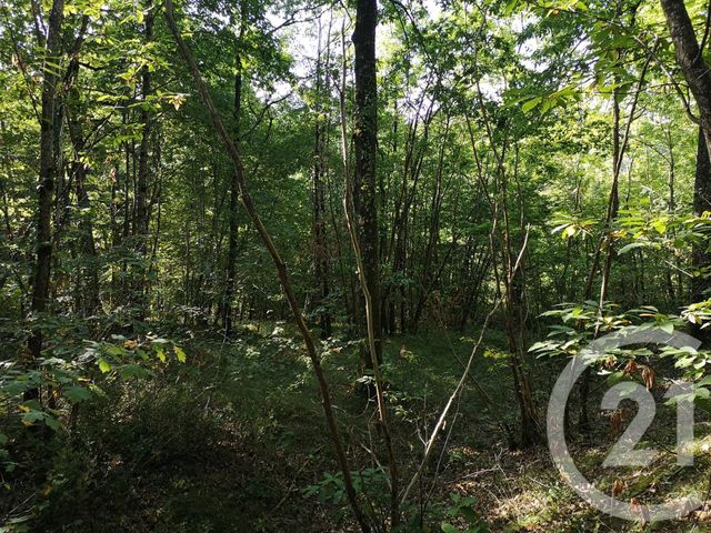 Afficher la photo en grand Terrain à vendre - 4090 m2 - LISLE SUR TARN - 81 - MIDI-PYRENEES