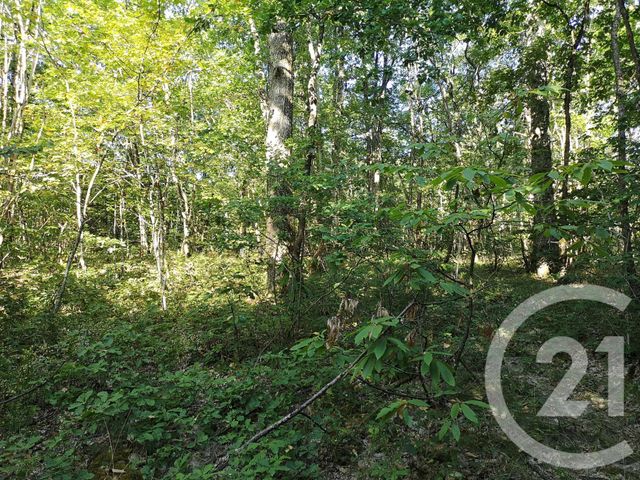 Afficher la photo en grand Terrain à vendre - 4090 m2 - LISLE SUR TARN - 81 - MIDI-PYRENEES