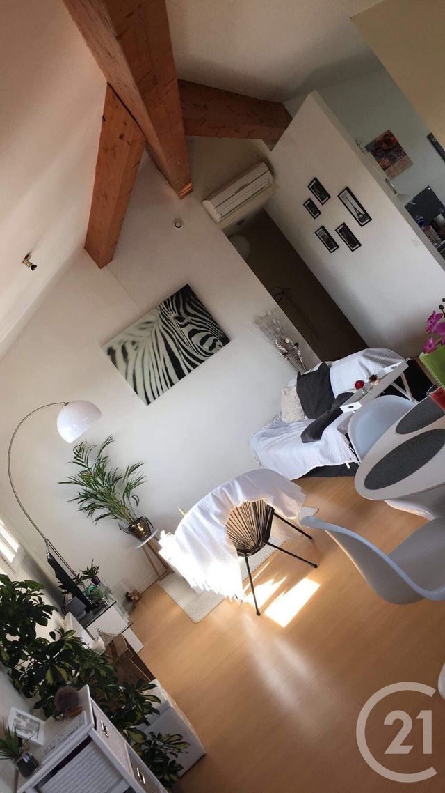 appartement - GAILLAC - 81