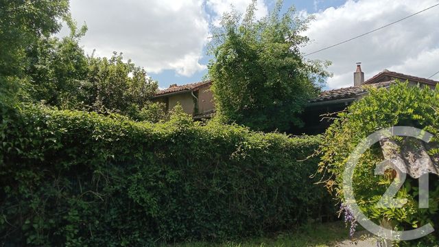 maison - GAILLAC - 81