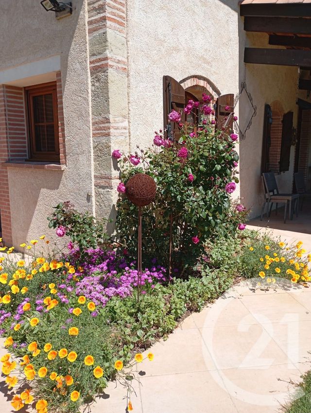 Maison à vendre - 8 pièces - 178,43 m2 - Montgaillard - 81 - MIDI-PYRENEES