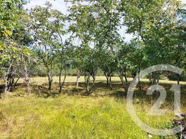 Maison à vendre - 4 pièces - 95,50 m2 - Grazac - 81 - MIDI-PYRENEES