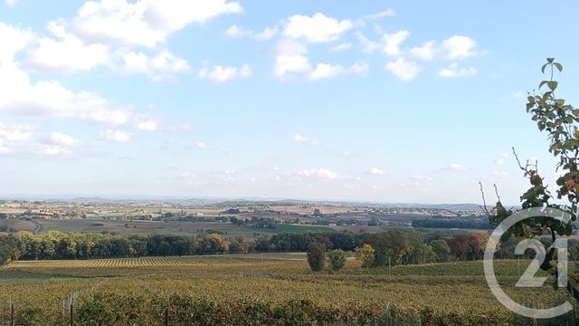 Afficher la photo en grand Terrain à vendre - 1000 m2 - Fayssac - 81 - MIDI-PYRENEES