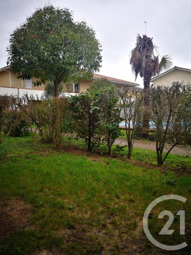 Appartement T2 &agrave; louer - 2 pi&egrave;ces - 35,26 m2 - Gaillac - 81 - MIDI-PYRENEES