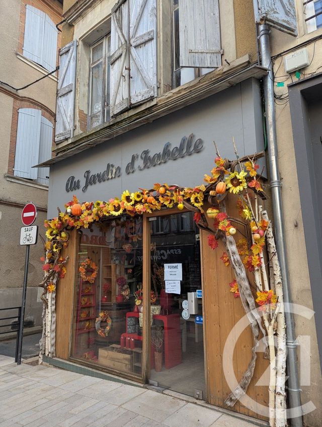maison - GAILLAC - 81