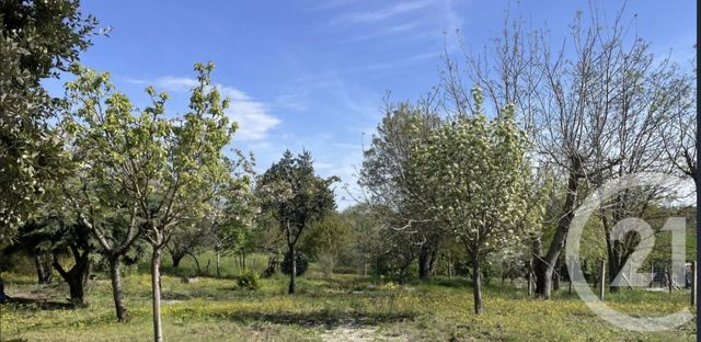 terrain - SENOUILLAC - 81