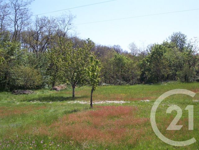Terrain &agrave; vendre - 850 m2 - Montans - 81 - MIDI-PYRENEES
