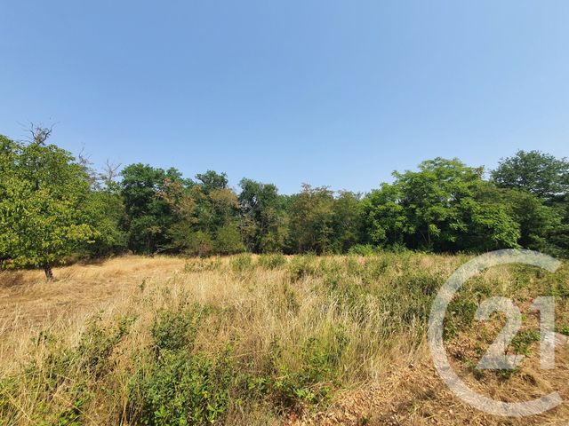 Terrain &agrave; vendre - 760 m2 - Montans - 81 - MIDI-PYRENEES
